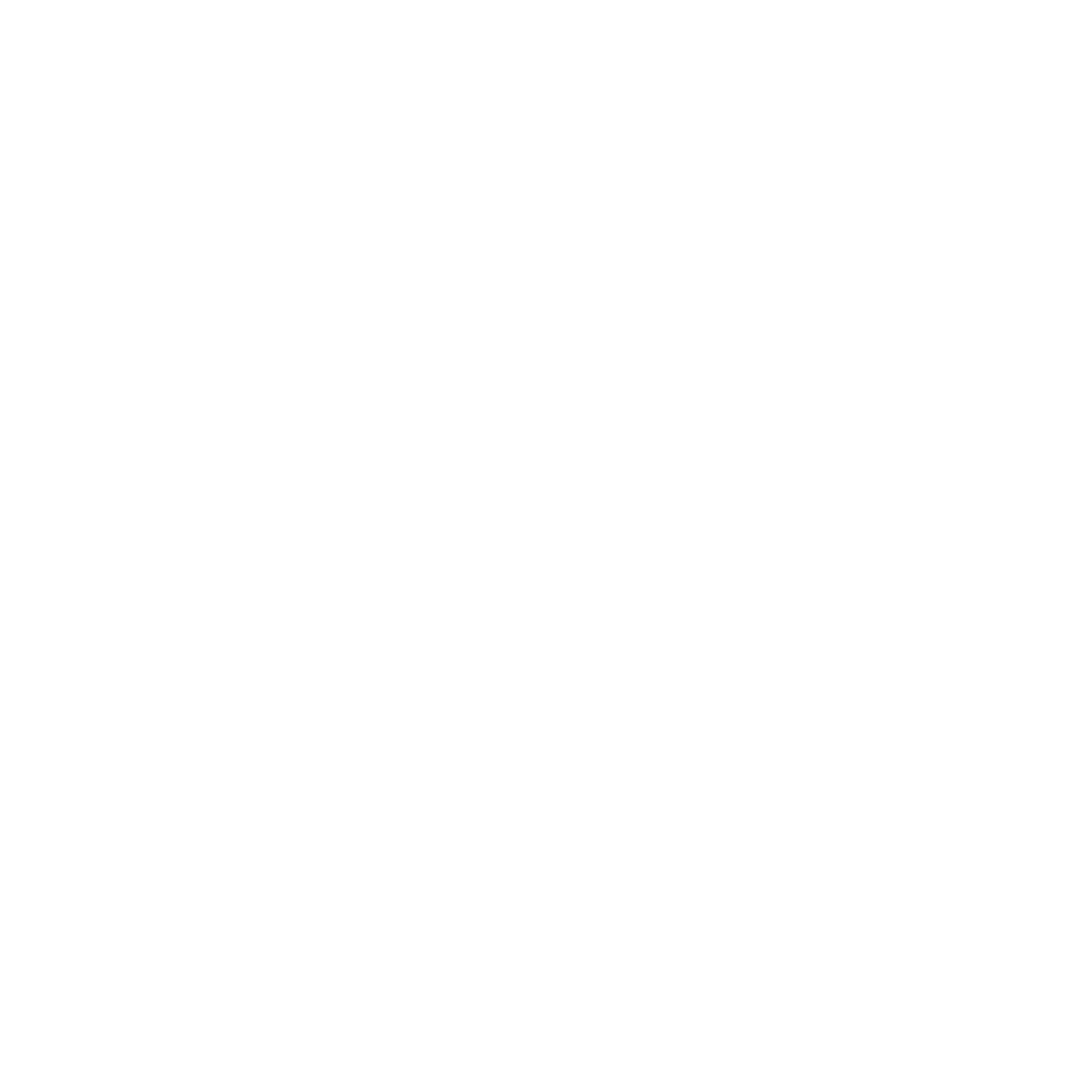DreamRunner Logo White
